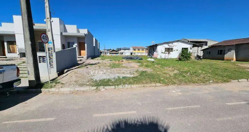 Terreno à venda, 360 m² por R$ 199.000,00 - Figueira - Gaspar/SC