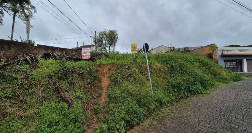 Terreno à venda, 335 m² por r$ 320.000,00 - salto do norte - blumenau/sc