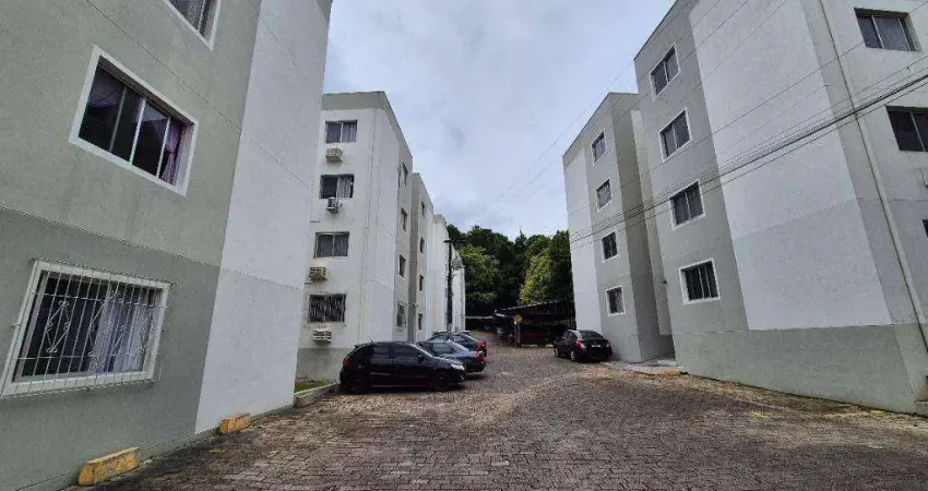 Apartamento com 3 dormitórios à venda, 65 m² por R$ 330.000,00 - Escola Agrícola - Blumenau/SC