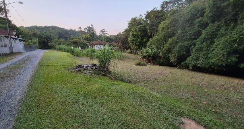Chácara com 3 dormitórios à venda, 16642 m² por R$ 1.200.000,00 - Velha Central - Blumenau/SC