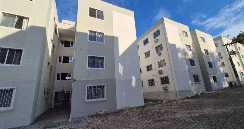 Apartamento com 3 dormitórios à venda, 65 m² por R$ 330.000,00 - Escola Agrícola - Blumenau/SC