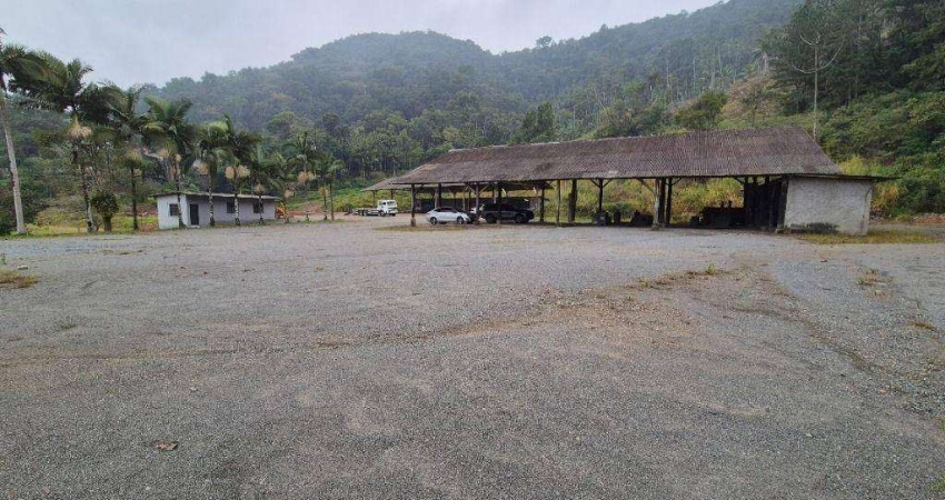 Galpão à venda, 1000 m² por R$ 1.650.000,00 - Velha Central - Blumenau/SC