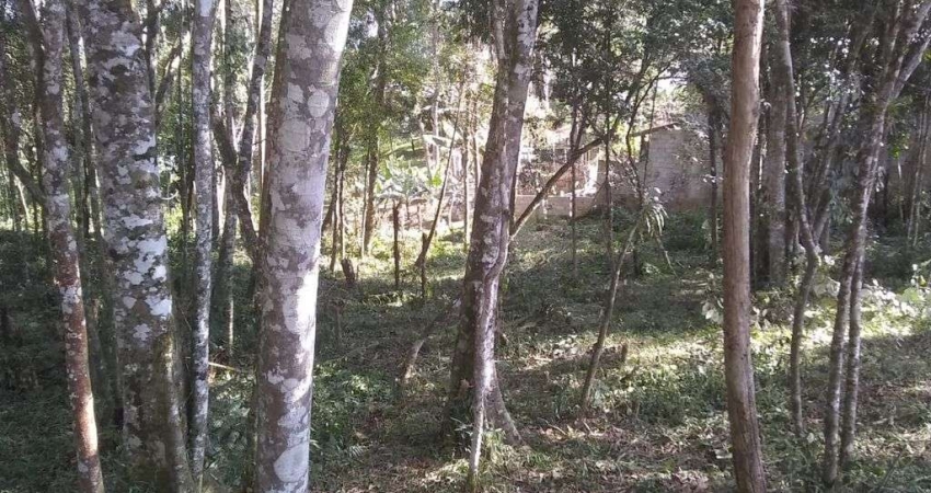 Terreno com 1889 m²  próximo a praça do Caputera - Aceita financiamento bancário