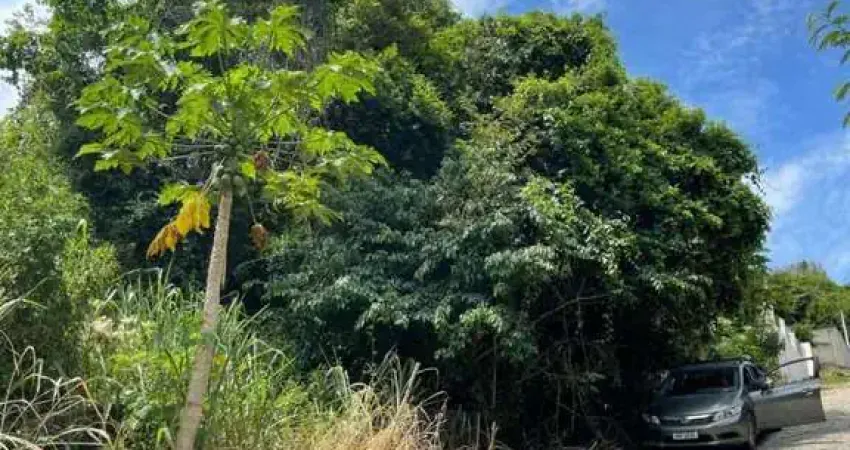 Terreno à venda, 474 m² por r$ 350.000,00 - ribeirão da ilha - florianópolis/sc