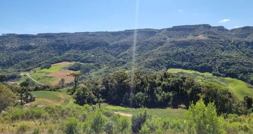 Terreno à venda na Estrada Geral Picadas, 1, Centro, Alfredo Wagner