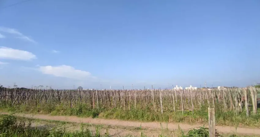 Terreno à venda na Rua José Pedro Correia Filho, 1, Guarda do Cubatão, Palhoça