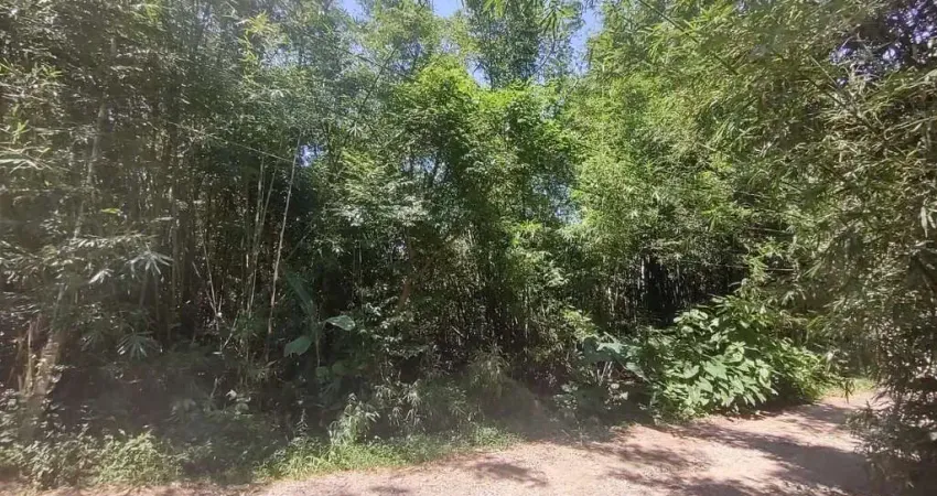 Terreno à venda na Servidão Bambuzal, 140, Campeche, Florianópolis