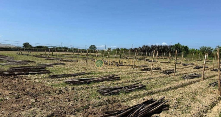 Terreno com 2200m² - À venda na Palhoça.