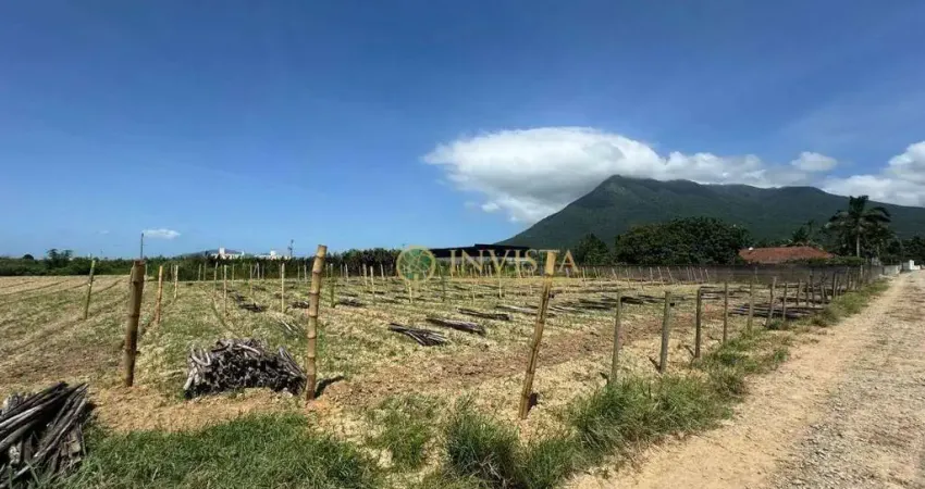 Terreno comercial à venda na Servidão João Vieira, 500, Guarda do Cubatão, Palhoça