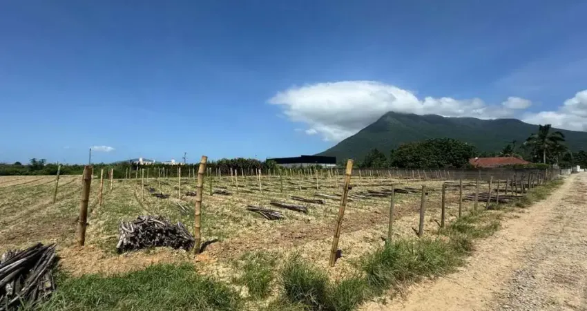 Terreno comercial à venda na Servidão João Vieira, 500, Guarda do Cubatão, Palhoça