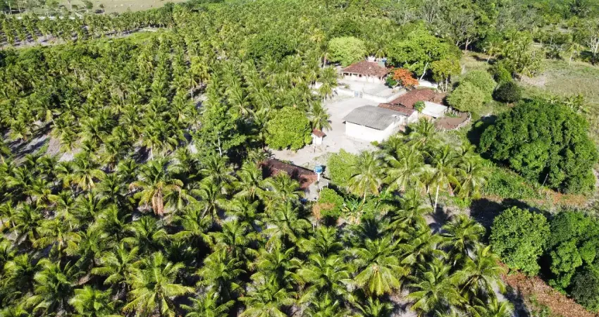 Propriedade Rural à Venda – 70 Hectares no Município do Conde/PB