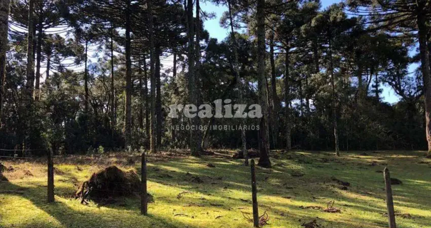 Terreno à venda na Rua Omar Victor Veeck, 01, Caracol, Canela
