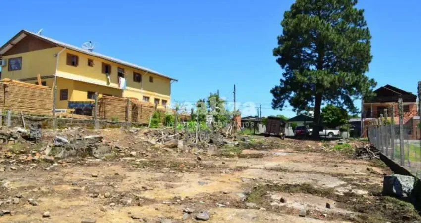 TERRENO COMERCIAL EM CANELA , Vila Boeira, Canela - RS