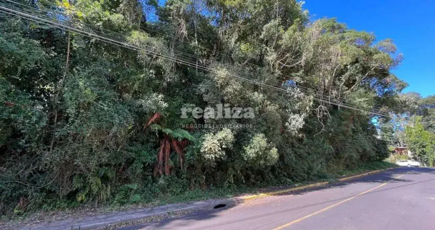 Terreno à venda na Av. Brasilia, Palace Hotel, Canela