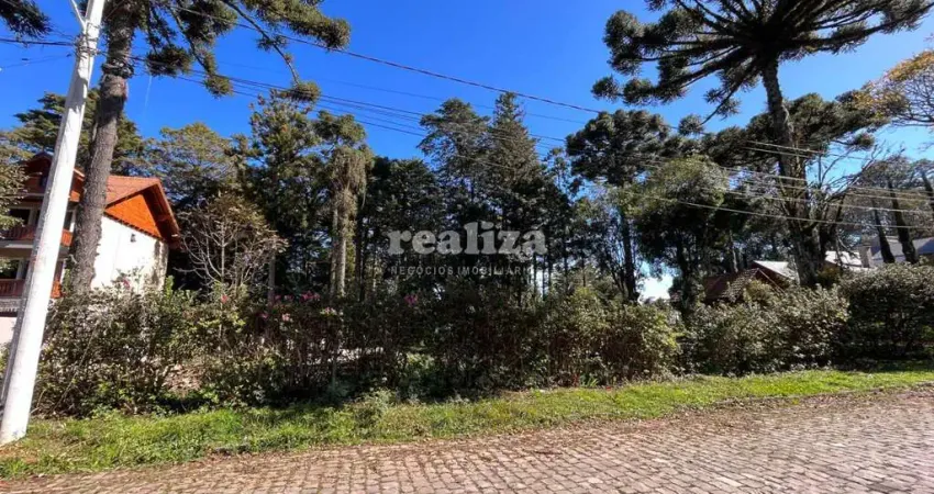 Terreno à venda na Rua Helmuth Schmitt, Vila Suica, Canela