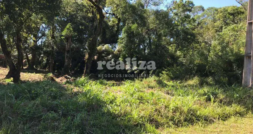 Terreno à venda na Rua Dos Pinheiros, 910, Alpes Verdes, Canela