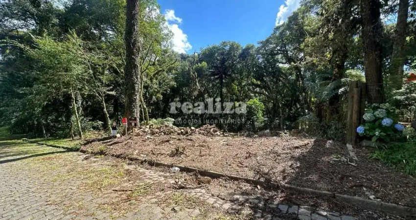 Terreno à venda na Narciso Perottoni, Vila Suica, Canela