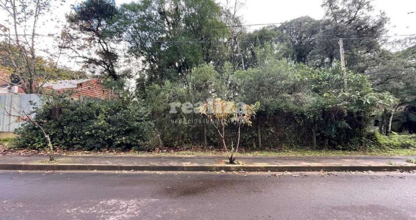 Terreno à venda na Rua Berna, Vila Suiça, Gramado