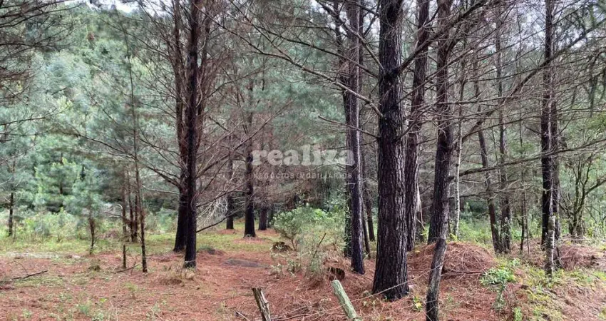 Apartamento à venda na Estrada em direção ao Ferradura, Zona Rural, Canela