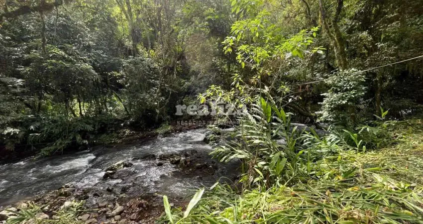 Chácara / sítio à venda na Estrada para Usina do Canastra, Canastra Alta, Canela