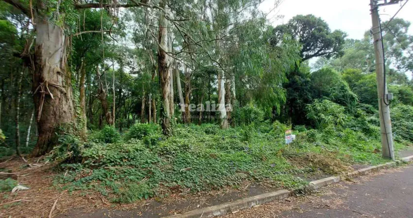 Terreno à venda na Rua Genebra, Vila Suiça, Gramado