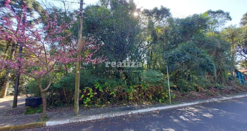 Terreno à venda na Rua Berna, Vila Suiça, Gramado
