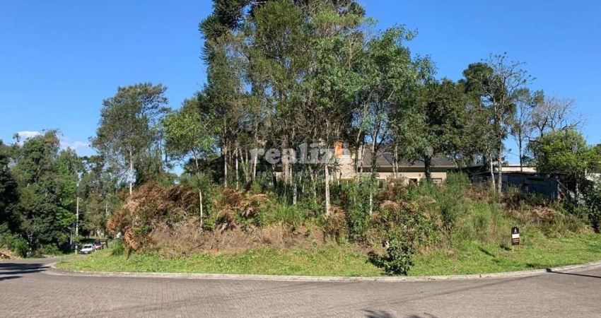 Terreno à venda na Rua Arthur Renheimer, Vivendas do Arvoredo, Gramado
