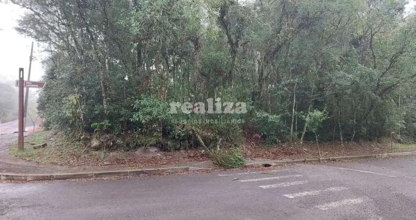 Terreno à venda na Rua Zurich, Vila Suiça, Gramado