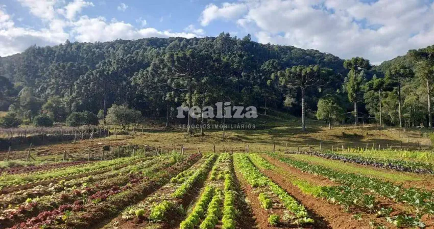 Fazenda à venda na Avila Baixa, Linha Ávila, Gramado
