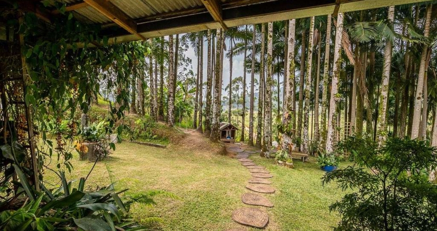 Fazenda com 2 salas à venda na Área Rural, Rua Paulo Dallagno, 8100, Área Rural de Camboriú, Camboriú