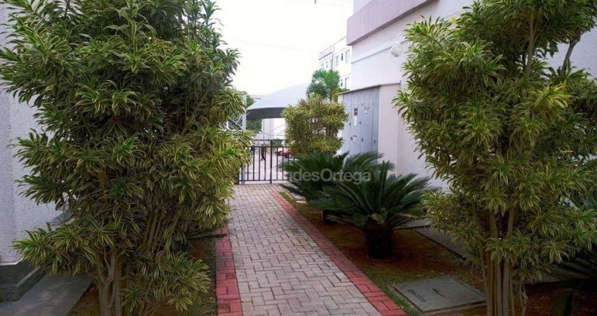 Apartamento com 2 dormitórios, 43 m² - venda por R$ 194.000,00 ou aluguel por R$ 1.468,00 - Caguaçu - Sorocaba/SP