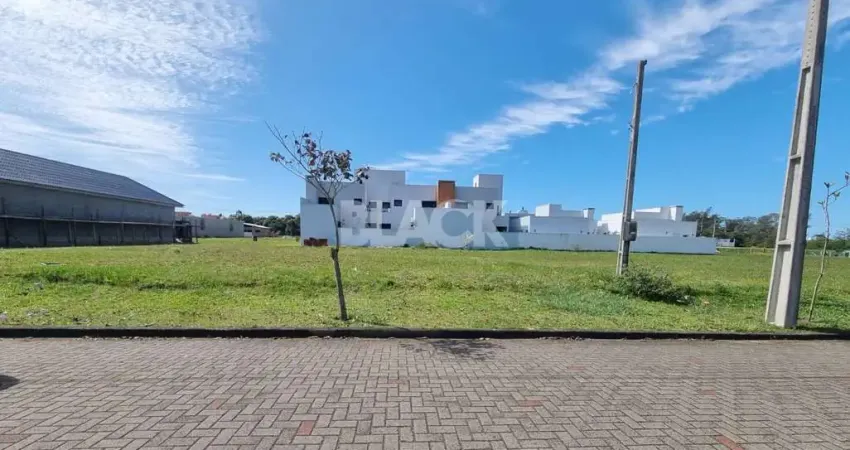 Terreno à venda na Rod. Prefeito João Luiz da Silva, KM 3 7, Centro, Passo de Torres