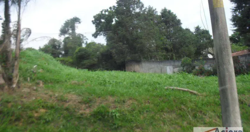 Terreno em condomínio fechado à venda na Rua Victor Hugo, Colinas de São Fernando, Cotia