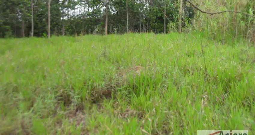 Terreno em condomínio fechado à venda na Avenida José Giorgi, Granja Viana II, Cotia
