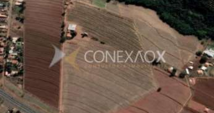 Terreno comercial à venda na Rodovia Professor Zeferino Vaz, KM 157,8, Sítio Novo, Artur Nogueira