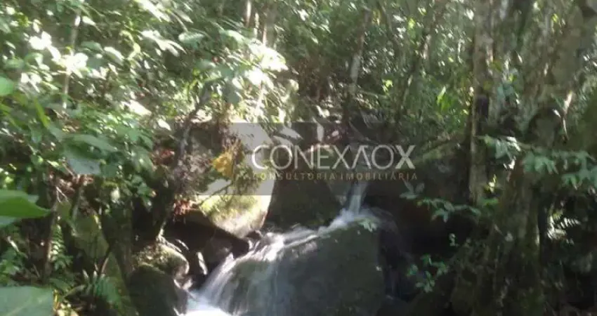 Fazenda à venda na Estrada Cristóvão Machado de Campos, 4407, Vargem Grande, Florianópolis
