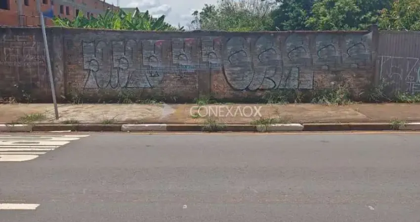 Terreno comercial à venda na Rua das Hortências, s/n, Chácara Primavera, Campinas