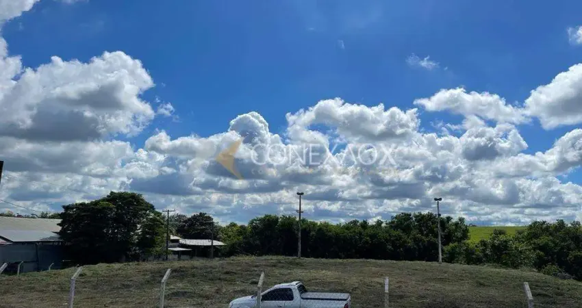 Terreno comercial à venda na Rua Leonor Ponessi Cappelli, 420, Parque Rural Fazenda Santa Cândida, Campinas