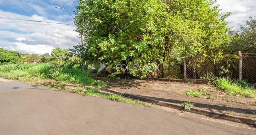 Terreno à venda no Jardim das Paineiras, Campinas 