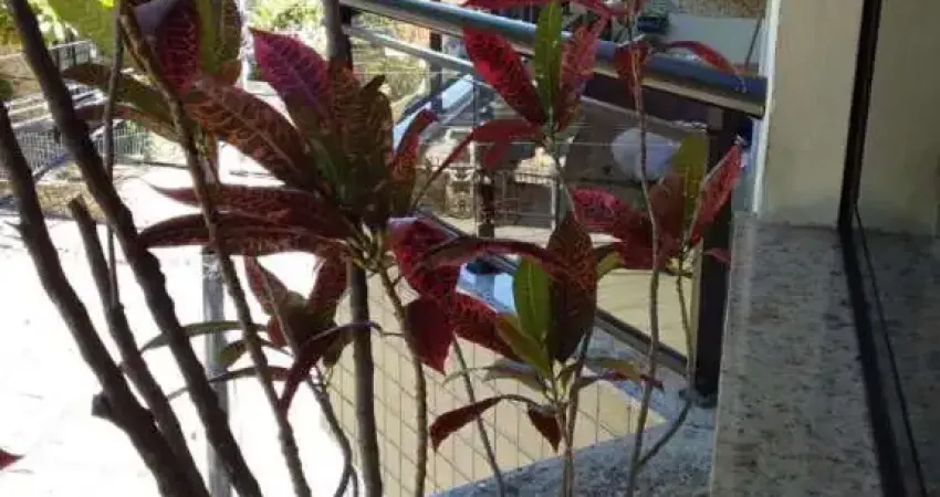 Apartamento com 2 dormitórios à venda, 55 m² por r$ 360.000,00 - vital brasil - niterói/rj