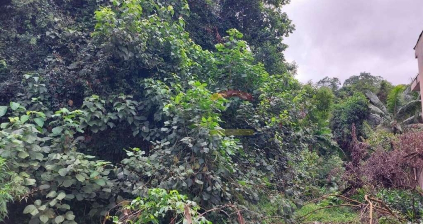 Terreno à venda na Avenida Nova Cantareira, 3924, Tucuruvi, São Paulo