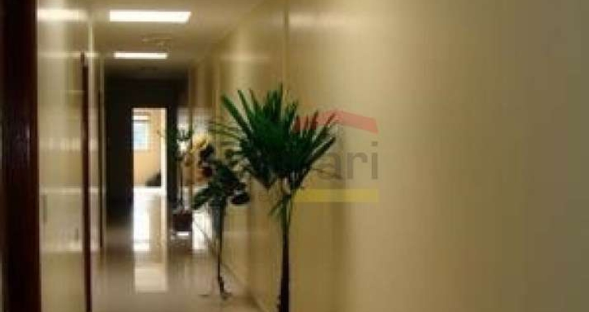 Barracão / Galpão / Depósito com 2 salas para alugar na Rua Domingos José Sapienza, 476, Vila Amália, São Paulo