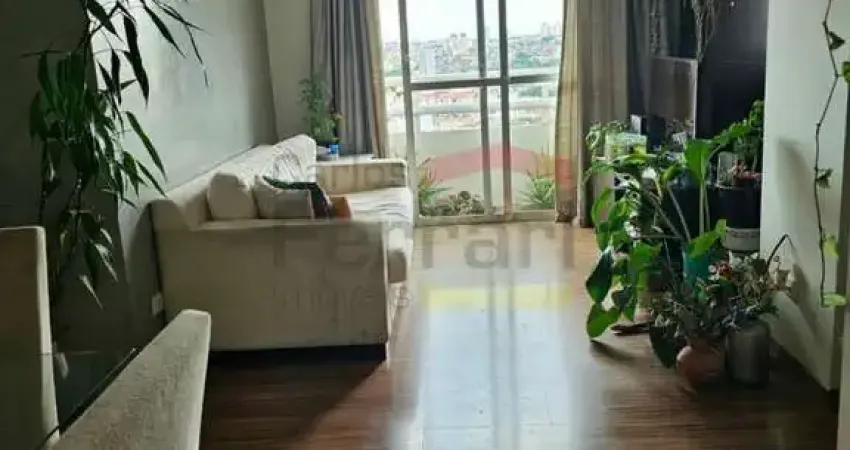 Apartamento  3 Dormitórios  2 Vagas - Parque Mandaqui