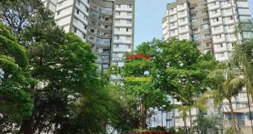 Freguesia do Ó 65,00ms2 2 dormitorios/suite 1 vaga RS2.500,00