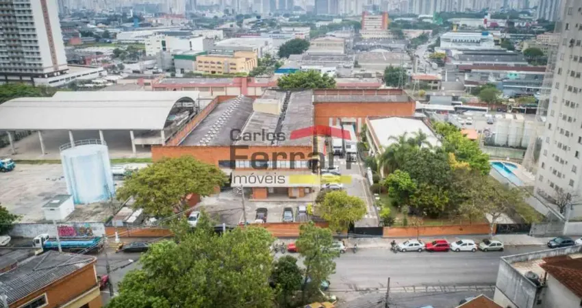 Barracão / Galpão / Depósito para alugar na Rua Dona Estela Borges Morato, 336, Vila Siqueira (Zona Norte), São Paulo