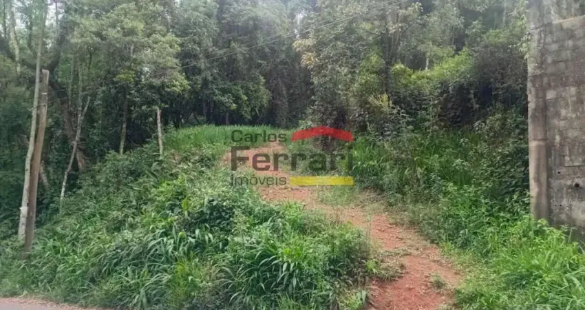 Terreno à venda na Rua Ipê, Santa Inês, Caieiras