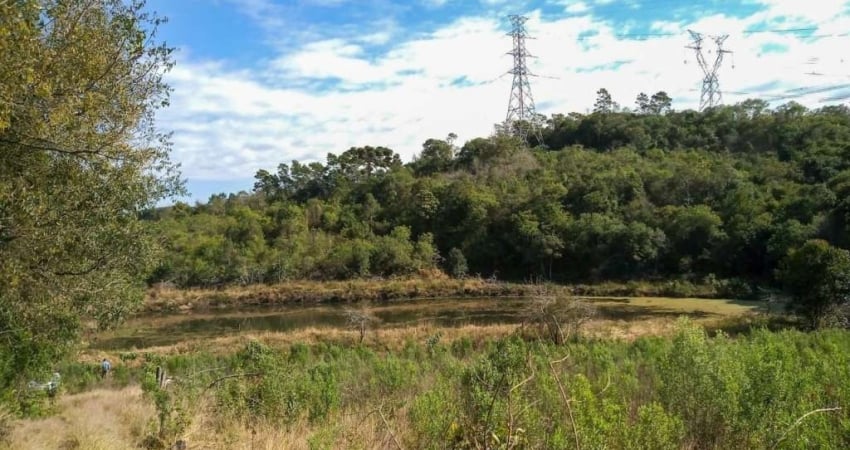 Chácara / sítio com 2 quartos à venda na Nossa Senhora das Graças, Caxias do Sul 