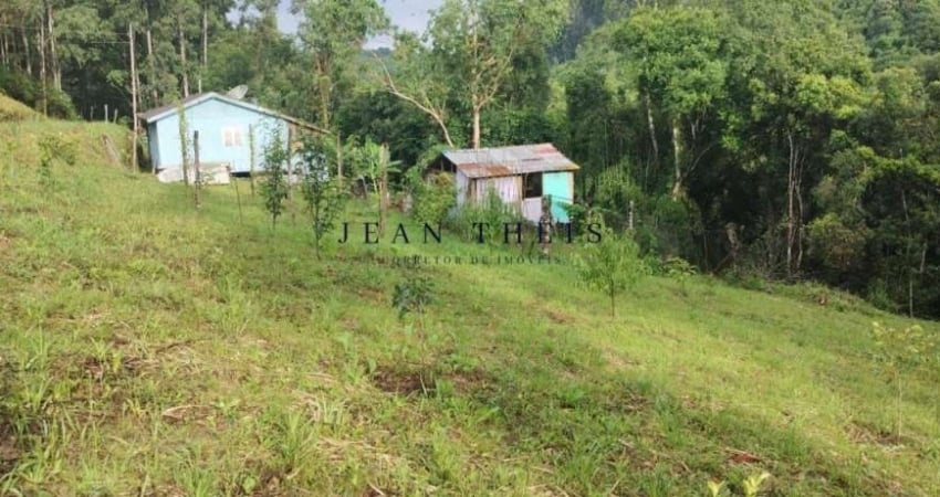 Chácara / sítio com 1 quarto à venda na Vila Oliva (Distrito), Caxias do Sul 
