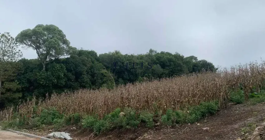 Terreno à venda no Nova Roma (Distrito), Flores da Cunha 
