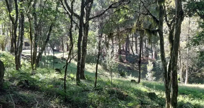 Chácara / sítio com 2 quartos à venda no Santa Lúcia do Piaí, Caxias do Sul 